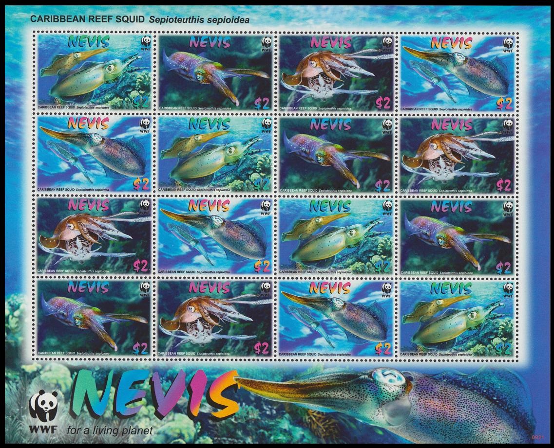 Nevis WWF Caribbean Reef Squid Sheetlet of 4 sets 2009 MNH SG#2155-2158 MI#2380-2383 Sc#2380-2383