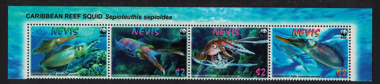 Nevis WWF Caribbean Reef Squid Strip of 4v Latin Name 2009 MNH SG#2155-2158 MI#2380-2383 Sc#2380-2383