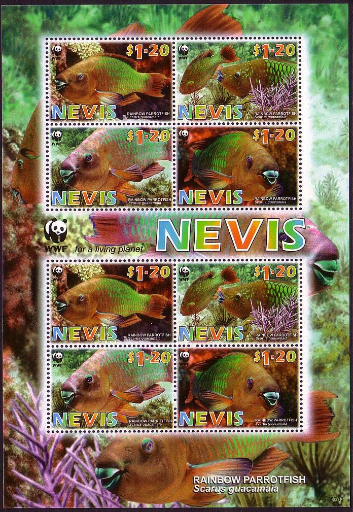 Nevis WWF Rainbow Parrotfish MS 2007 MNH SG#MS2019 MI#2208-2211 Sc#1510a-d