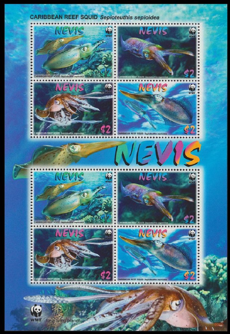 Nevis WWF Caribbean Reef Squid MS 2009 MNH SG#MS2159 MI#2380-2383 Sc#2380-2383