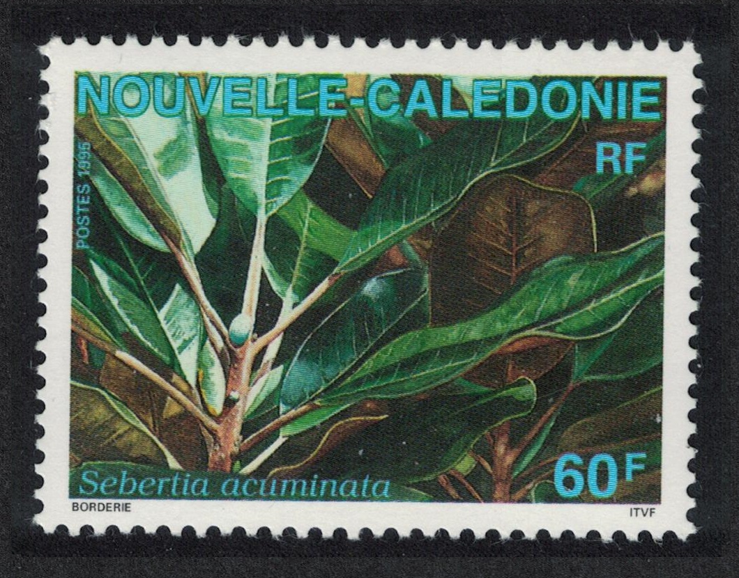 New Caledonia Rainforest Shrub &#39;Sebertia acuminata&#39; Nickel 1995 MNH SG#1040