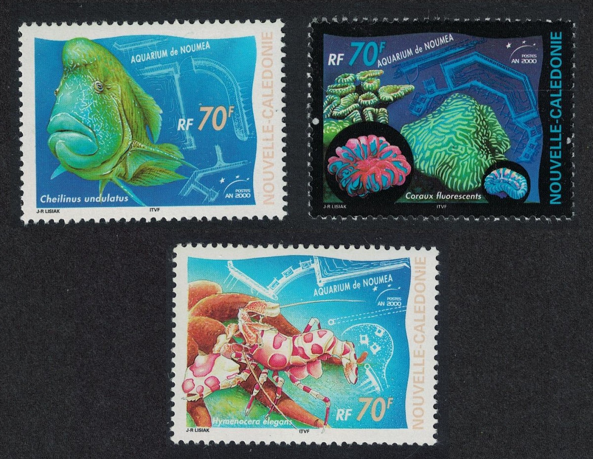 New Caledonia Hump-headed Wrasse Fish Corals Prawn Noumea Aquarium 3v 2000 MNH SG#1201-1203