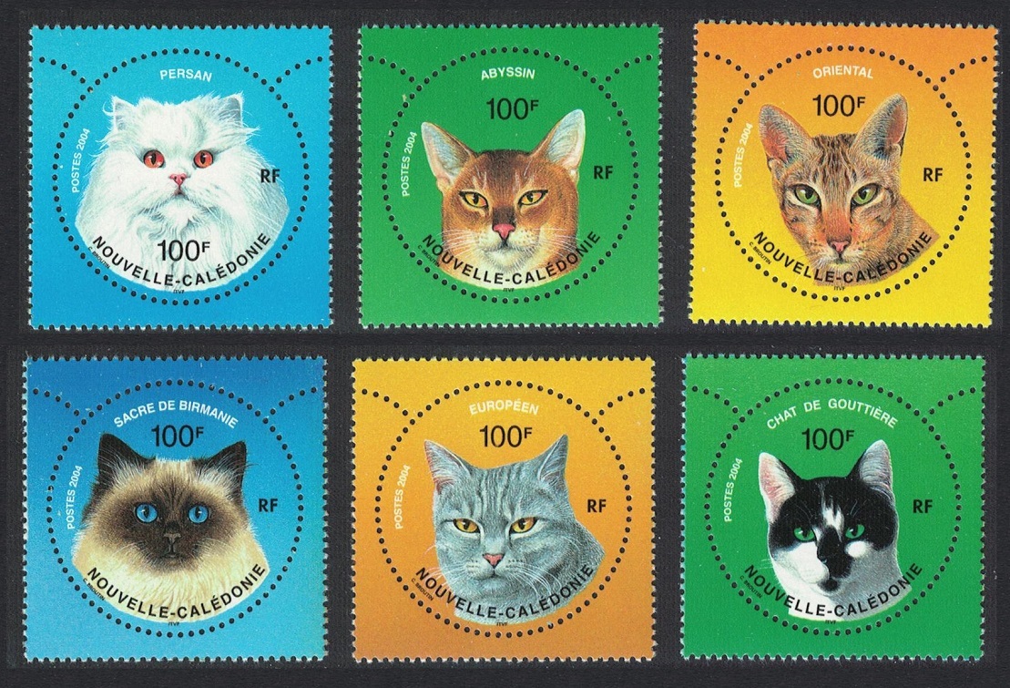 New Caledonia Cats 6v 2004 MNH SG#1326-1331