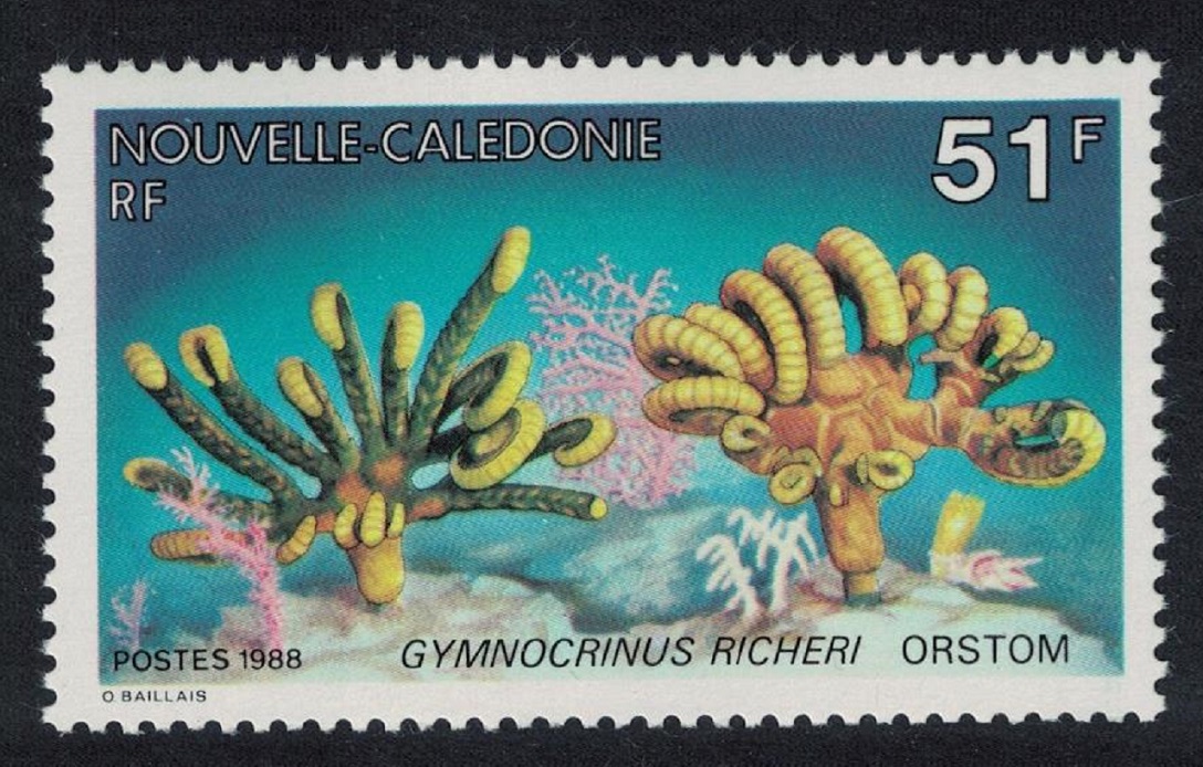 New Caledonia Marine Fauna &#39;Gymnocrinus richeri&#39; 1988 MNH SG#832