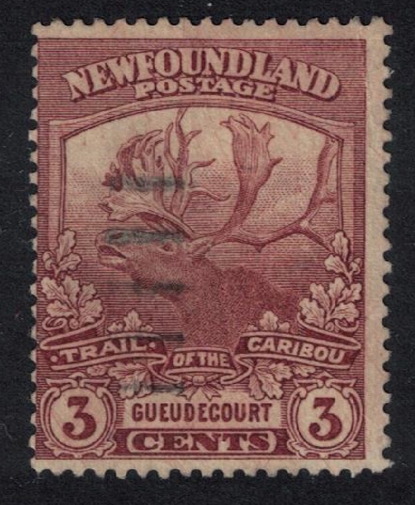 Newfoundland Contingent Caribou 3d 1919 Canc SG#132