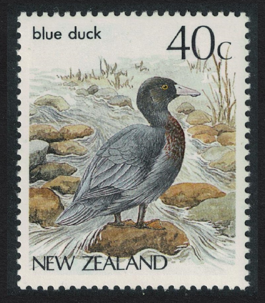 New Zealand Mountain &#39;Blue&#39; Duck Bird 1987 MNH SG#1289