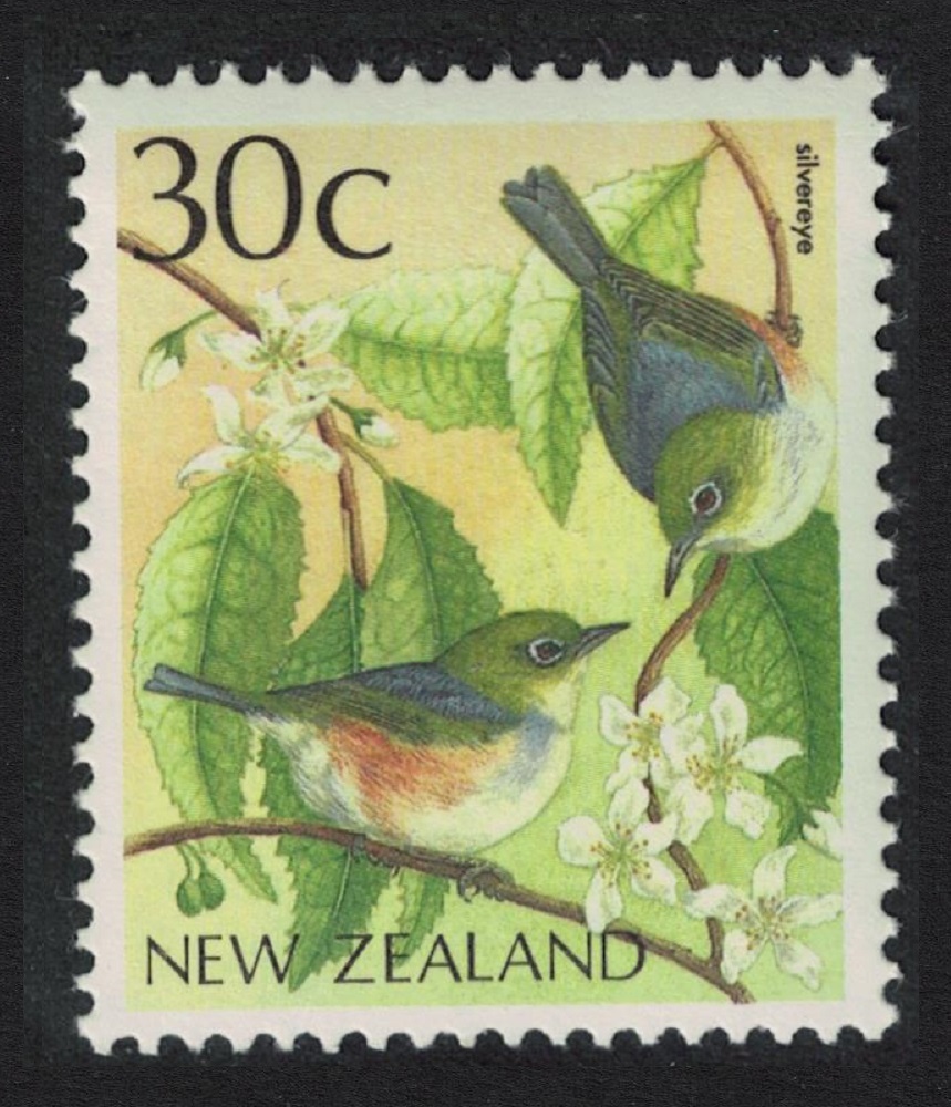 New Zealand Grey-backed White-eye &#39;Silvereye&#39; Bird 1988 MNH SG#1462