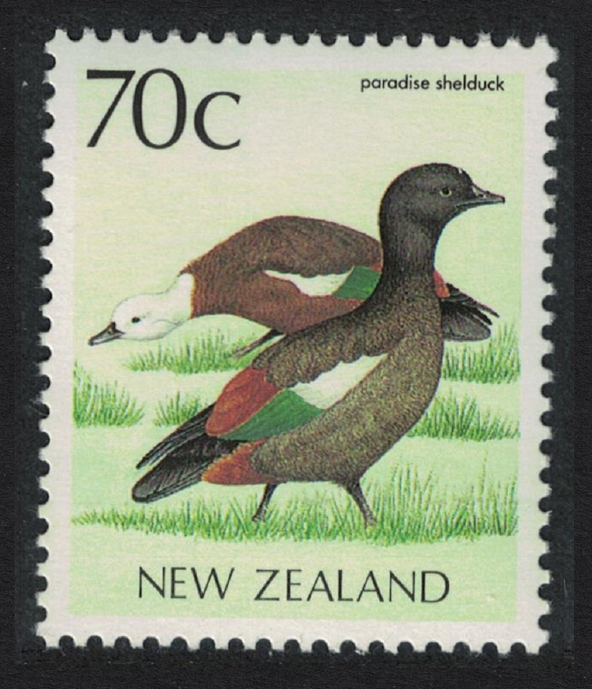 New Zealand Paradise Shelduck Bird 1988 MNH SG#1466