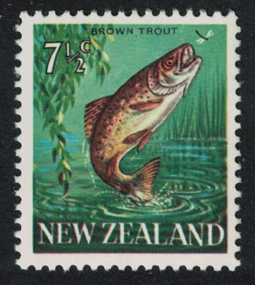 New Zealand Brown Trout Fish 1967 MNH SG#871