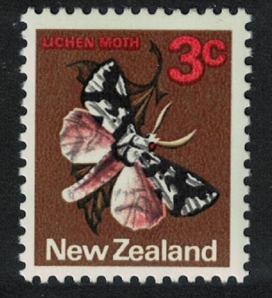 New Zealand Moth &#39;Detunda egregia&#39; 3c 1970 MNH SG#918