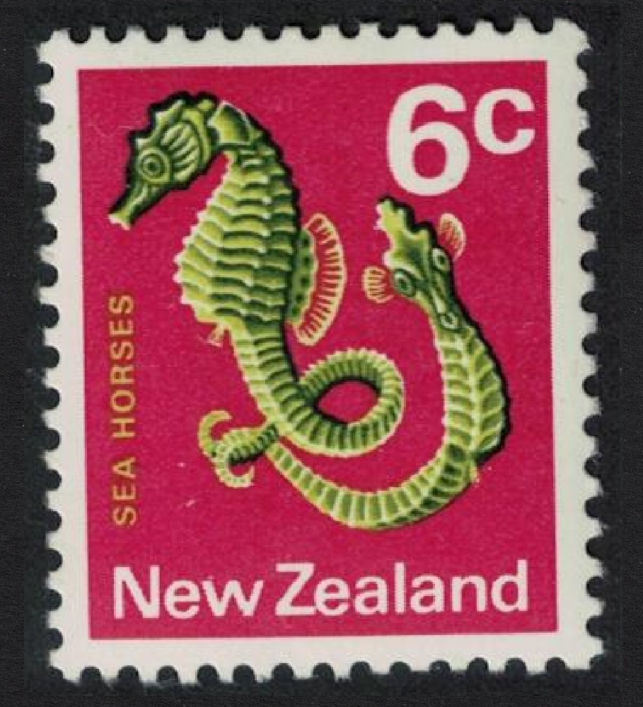 New Zealand Big-bellied Seahorses Fish 6c 1970 MNH SG#921