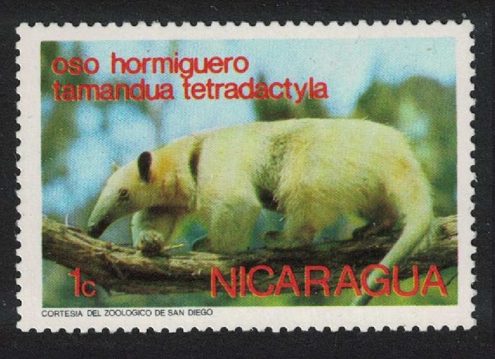 Nicaragua Tamandua Wild Anima Fauna 1974 MNH SG#1947