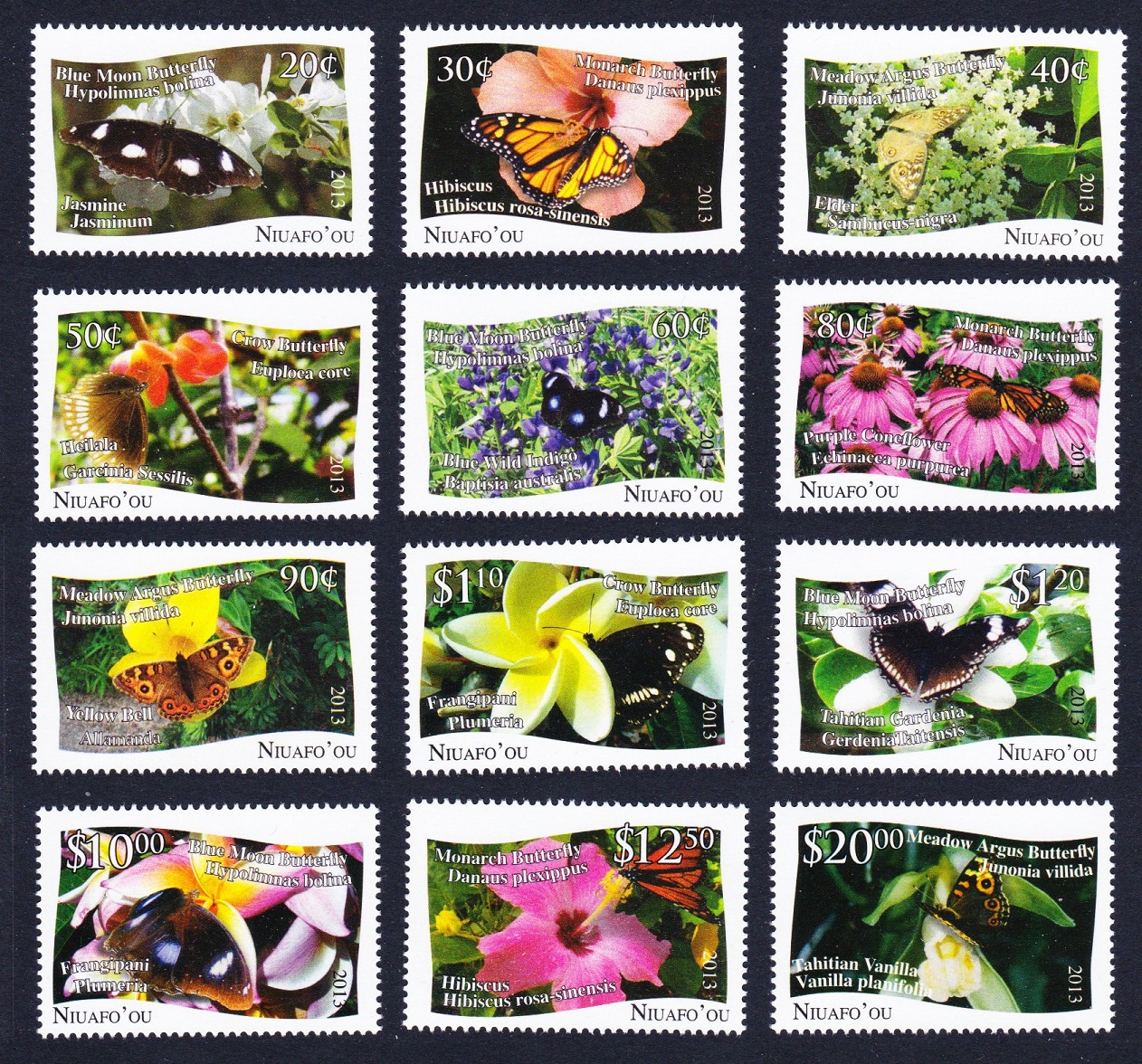 NiuafoOu Butterflies and Plants 12v 2013 MNH SG#379-390 Sc#301-312