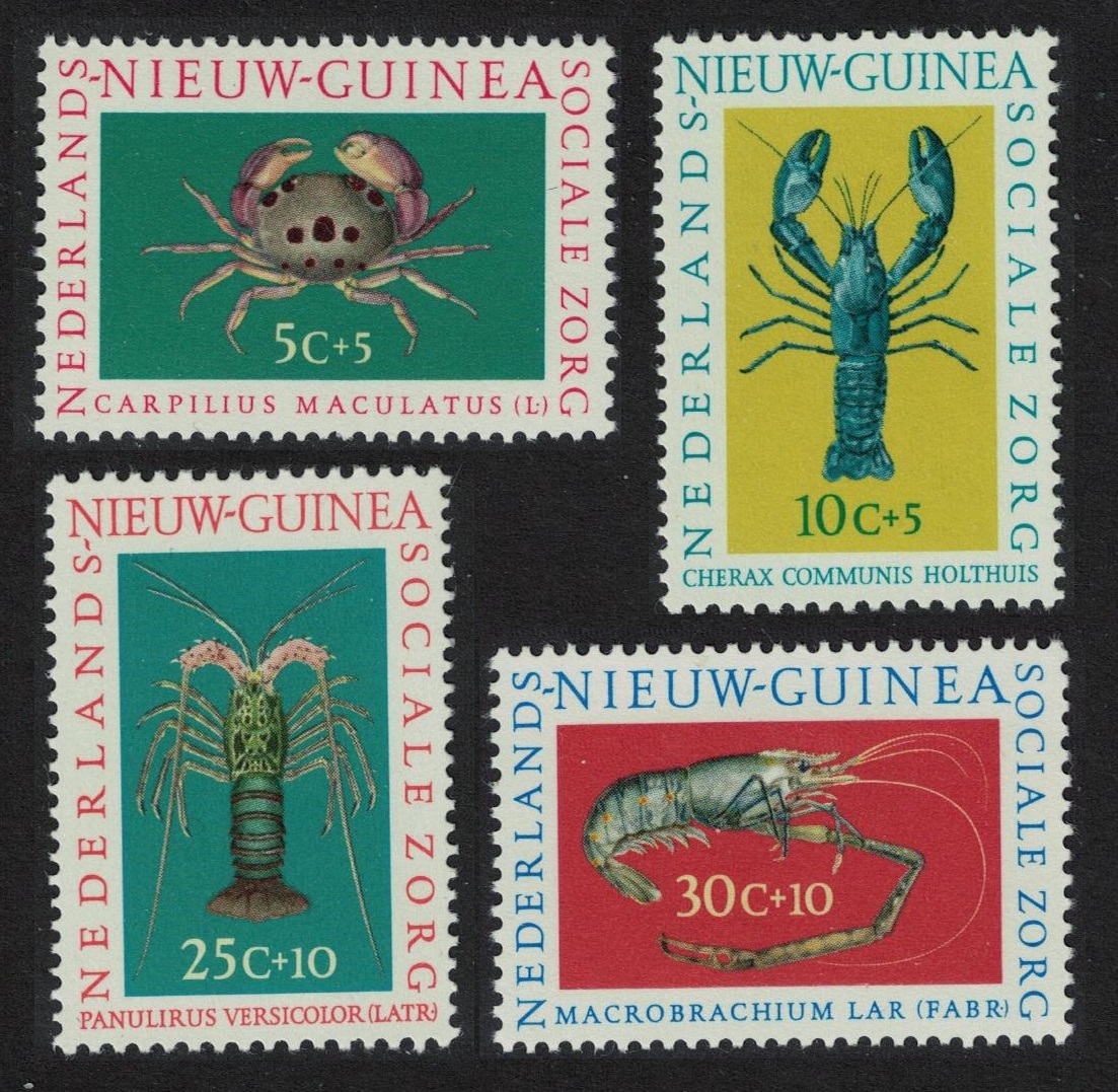 Netherlands New Guinea Shellfish 4v 1962 MNH SG#84-87