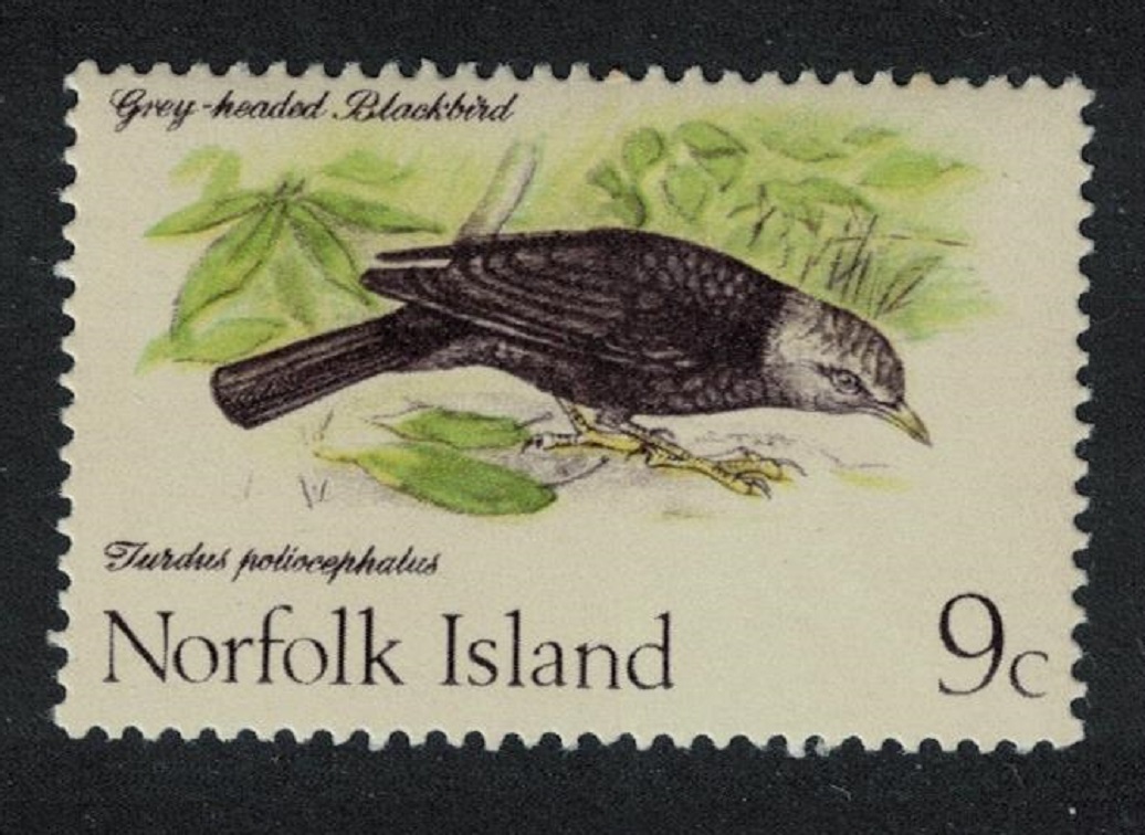 Norfolk Island Island Thrush Bird 9c 1970 MNH SG#109