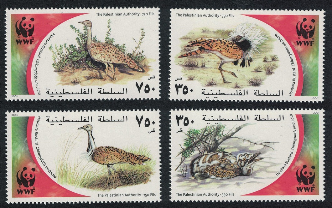 Palestine WWF Birds Houbara Bustard 4v 2001 MNH SG#PA204-PA207 MI#192-195 Sc#150a-d