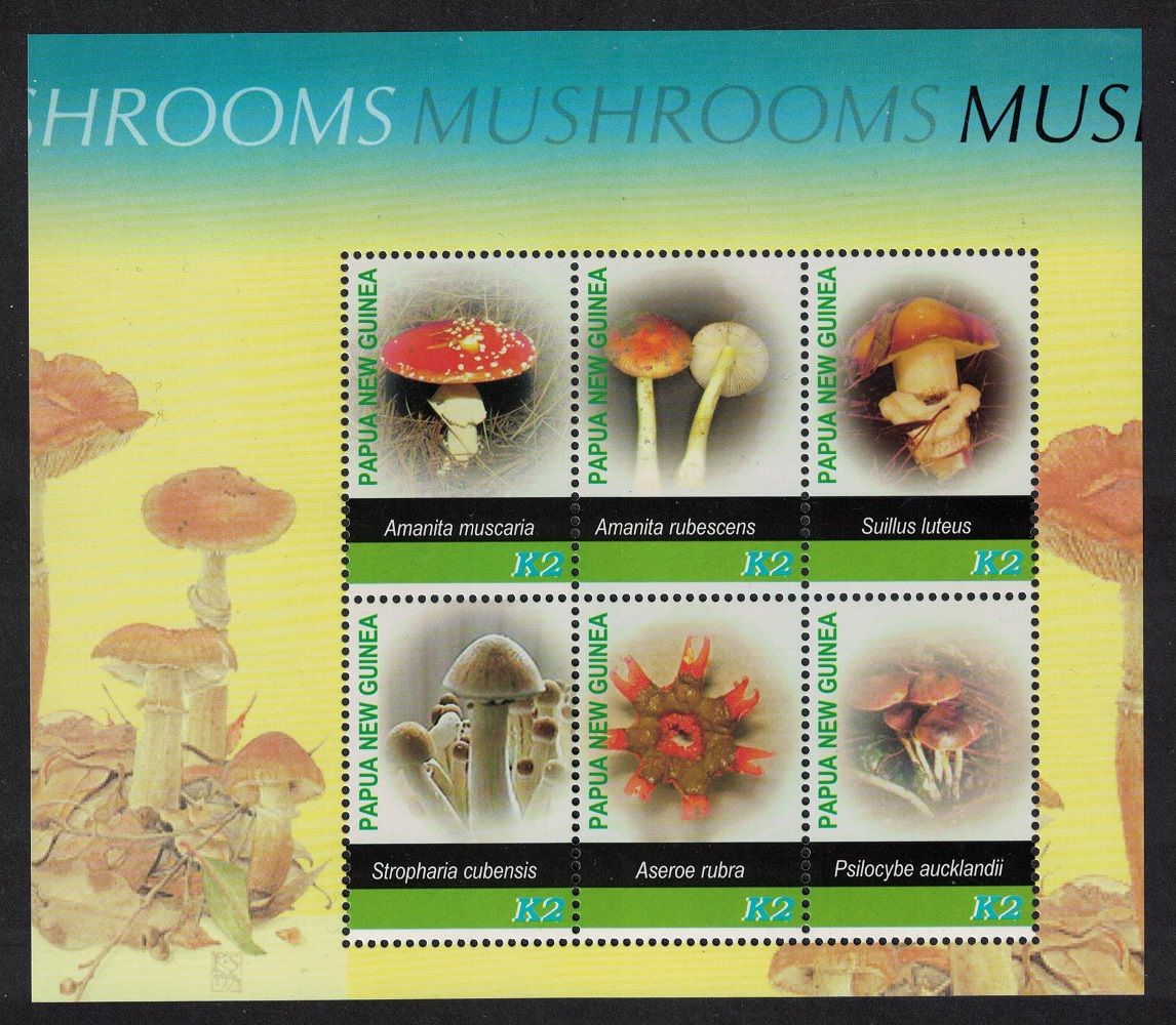 Papua New Guinea Mushrooms Fungi Sheetlet 2005 MNH SG#1082-187 Sc#1176-1181