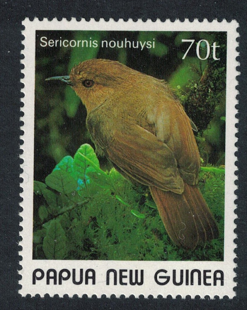 Papua New Guinea 70t Large Mountain Sericornis Bird 1989 MNH SG#601 Sc#719