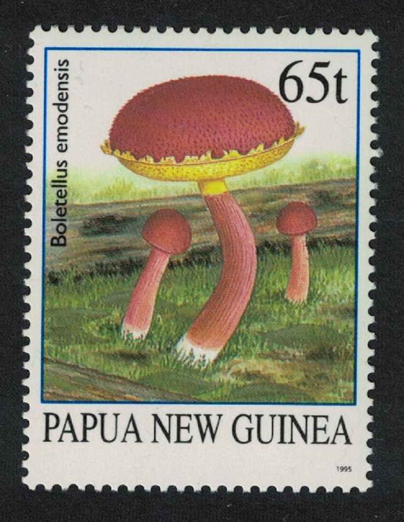 Papua New Guinea &#39;Boletellus emodensis&#39; Fungi Mushrooms 65t 1995 MNH SG#764 MI#773 Sc#874