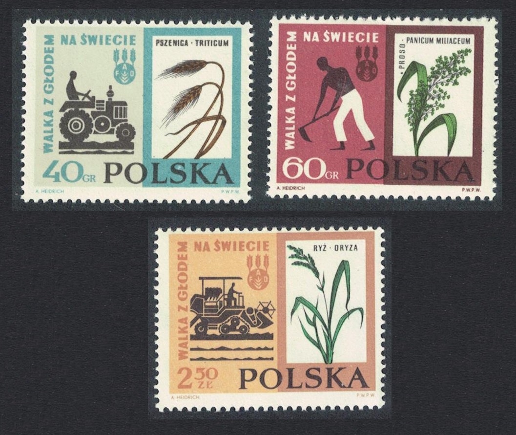 Poland Freedom from Hunger 3v 1963 MNH SG#1358-1360 Sc#1112-1114