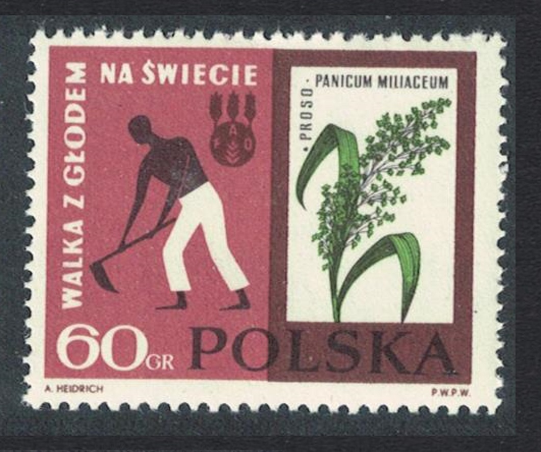 Poland Freedom from Hunger Millet and hoeing Key value 1963 MNH SG#1359 Sc#1113