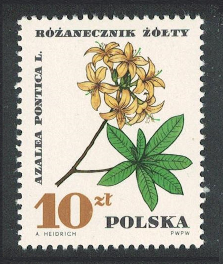 Poland Protected Plants 10 ZL Key Value 1967 MNH SG#1755 Sc#1516