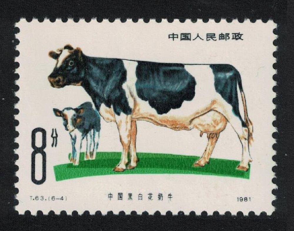 China Black and white dairy cattle 1981 MNH SG#3067