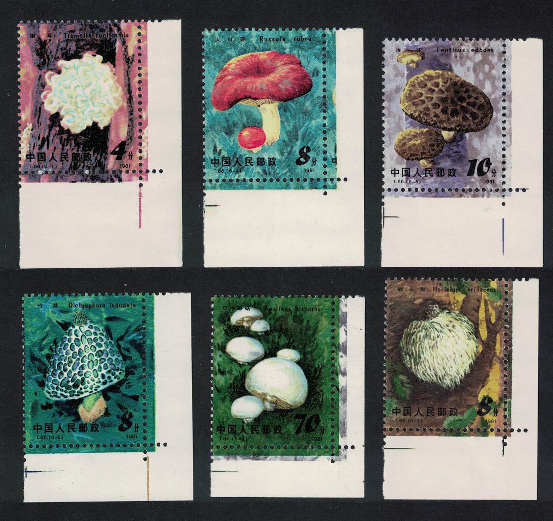 China Edible Mushrooms 6v Corners 1981 MNH SG#3092-3097 Sc#1703-1708