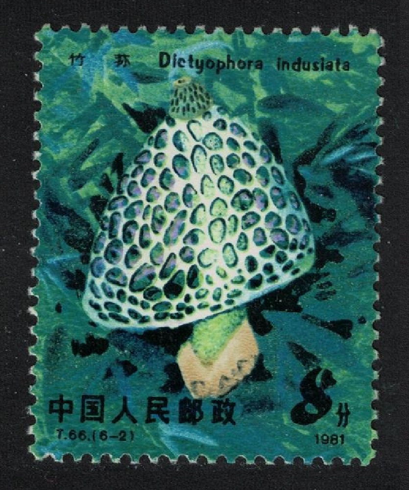 China Edible Mushroom Veiled stinkhorn &#39;Dictyophora indusiata&#39; 1981 MNH SG#3093 Sc#1704