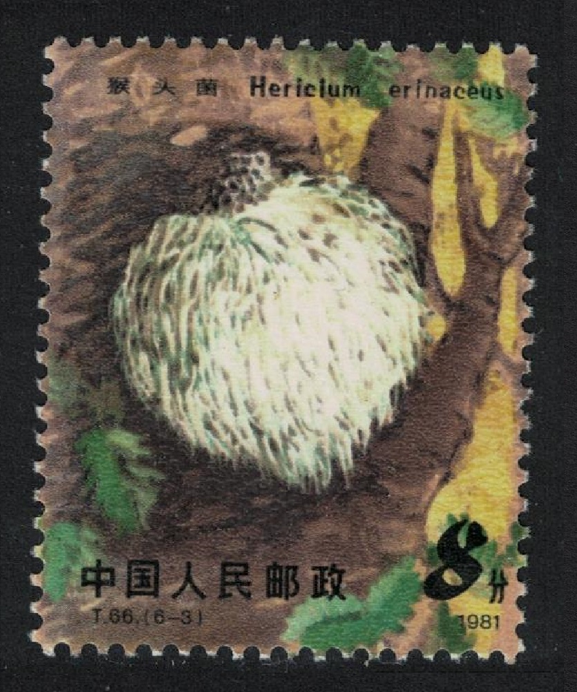 China Edible Mushroom &#39;Hericium erinaceus&#39; 1981 MNH SG#3094 Sc#1705