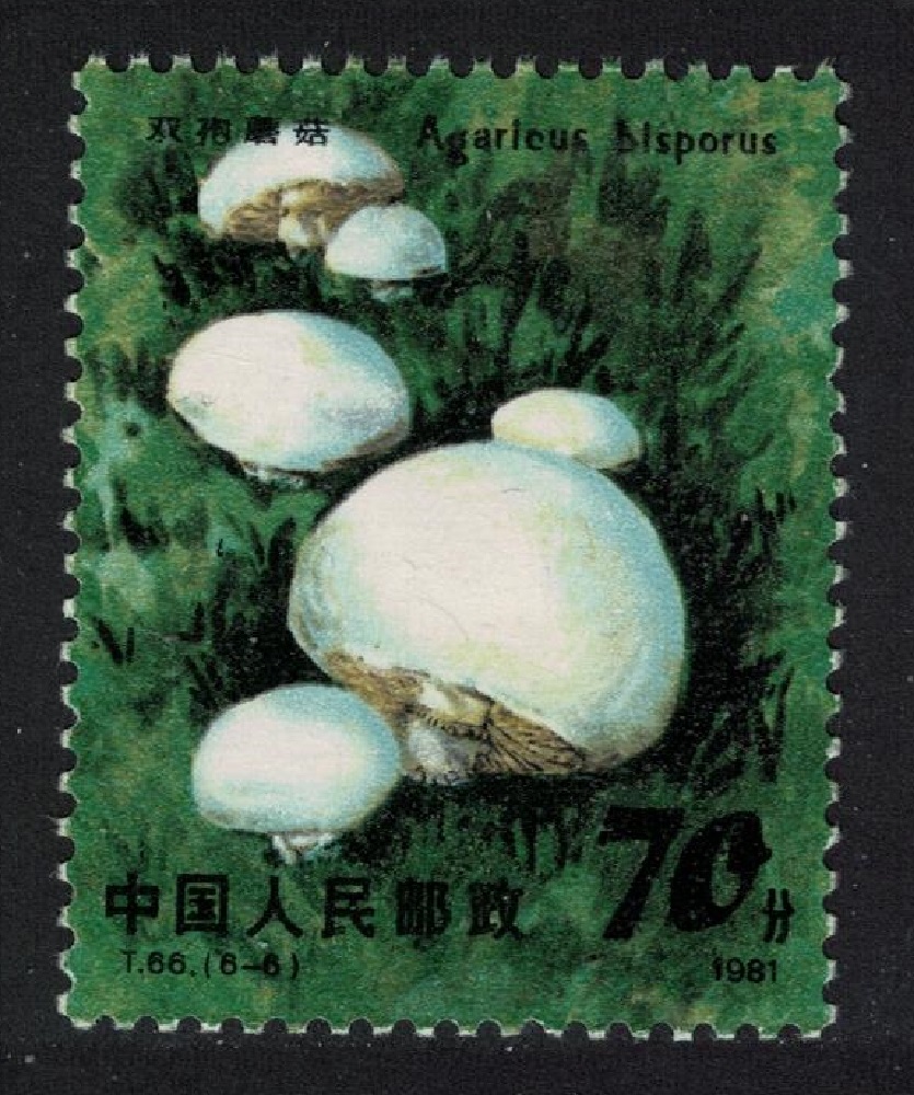 China Edible Mushroom &#39;Hericium erinaceus&#39; 1981 MNH SG#3097 Sc#1708