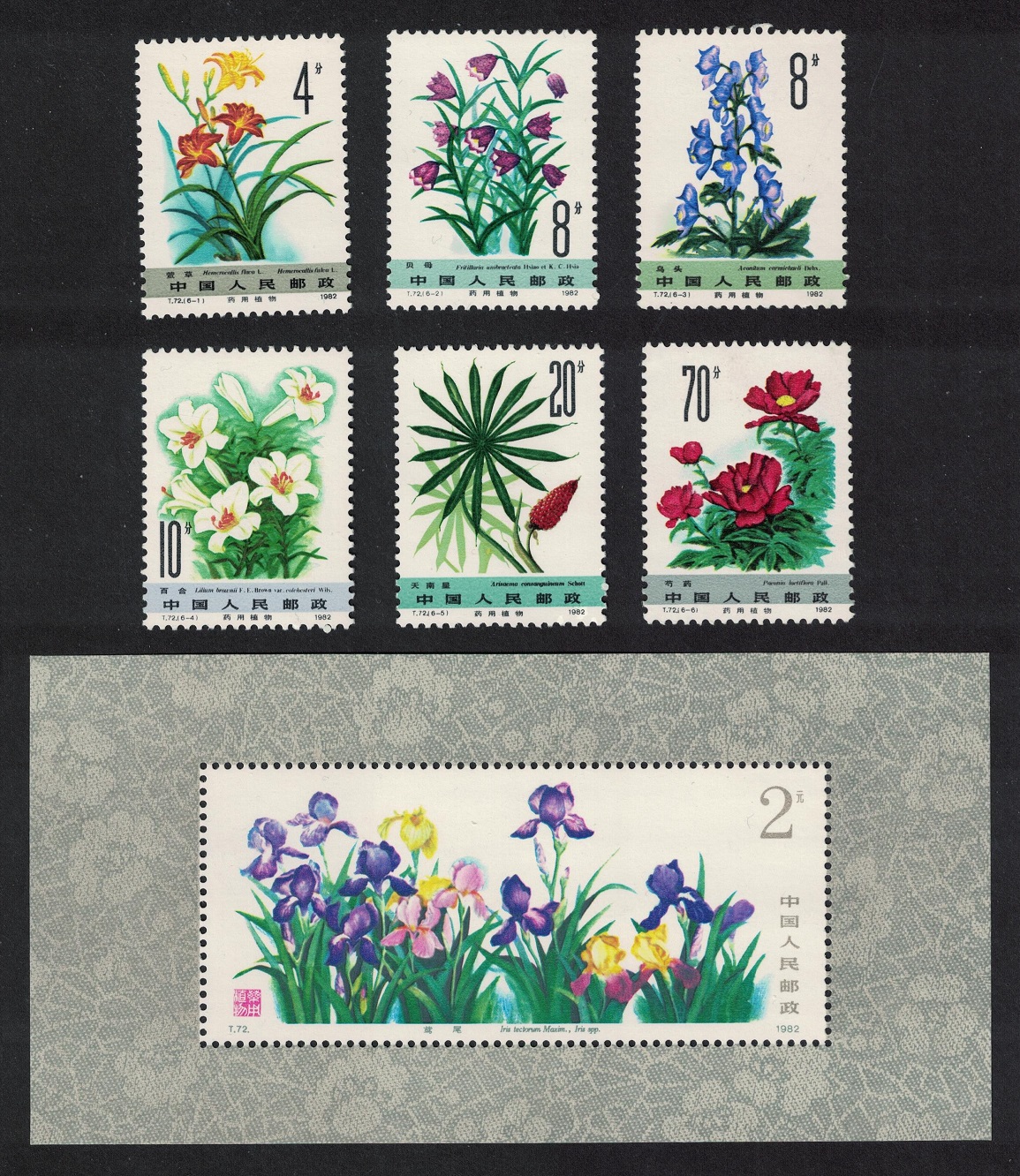 China Medicinal Herbs Iris 6v+ MS 1982 MNH SG#3176-MS3182 Sc#1779-1785