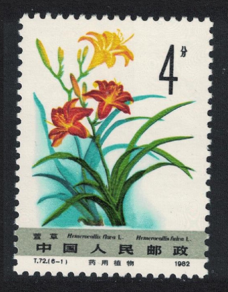 China Medicinal Herbs &#39;Hemerocallis flava&#39; 1982 MNH SG#3176 Sc#1779