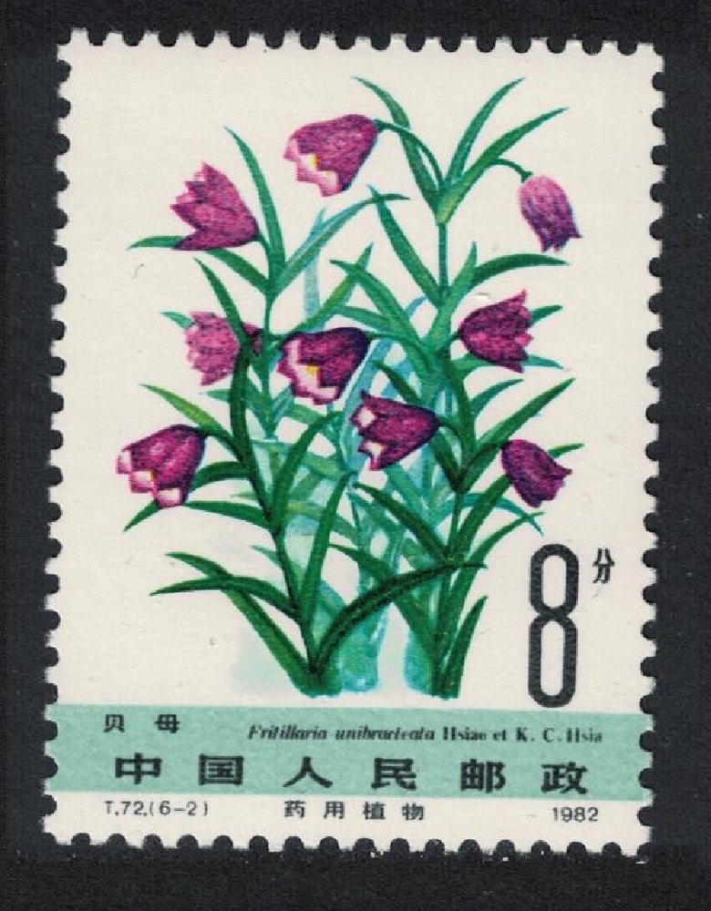 China Medicinal Herbs &#39;Fritillaria unibracteata&#39; 1982 MNH SG#3177 Sc#1780