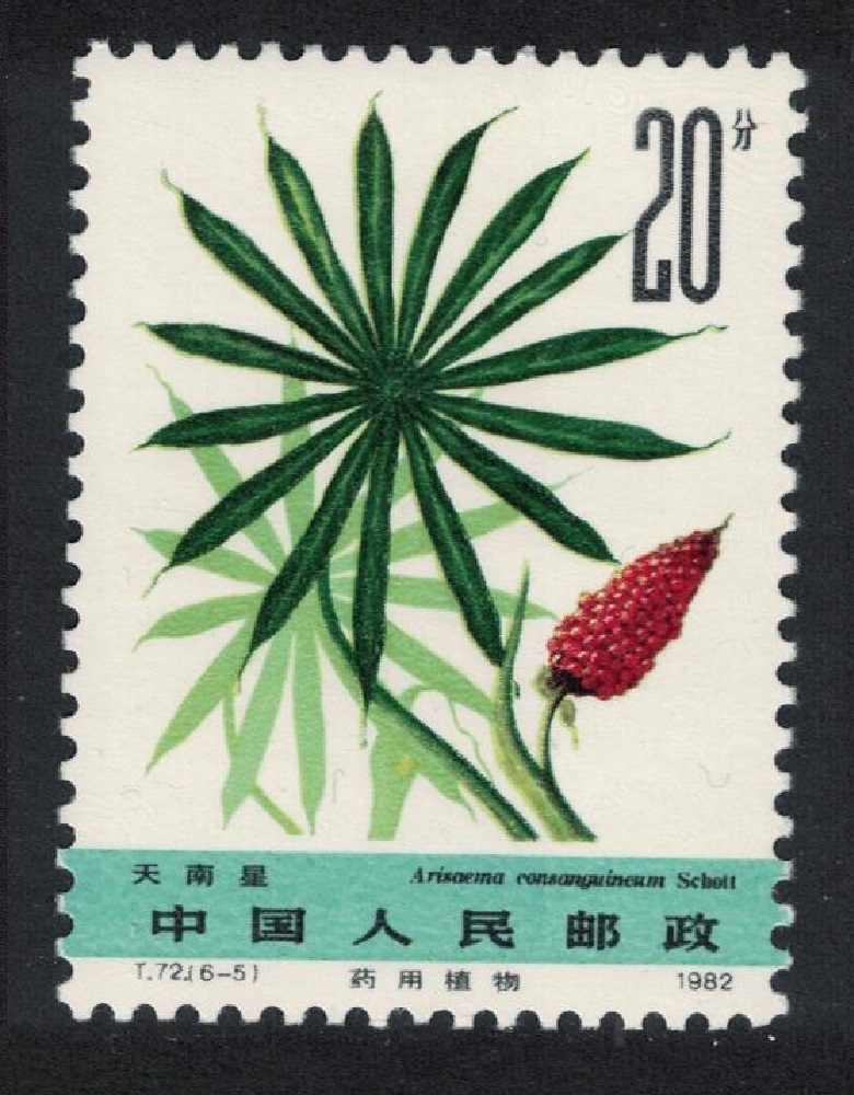 China Medicinal Herbs &#39;Arisaema consanguineum&#39; 1982 MNH SG#3180 Sc#1783