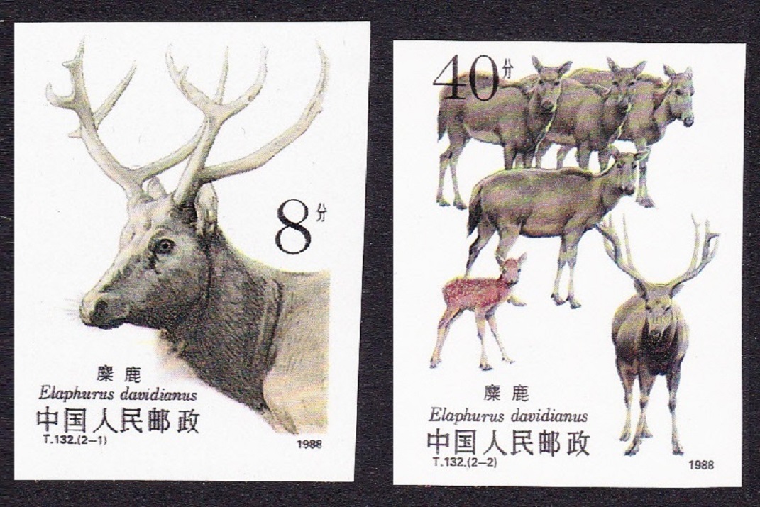 China Pere David&#39;s 2v Deer Imperf 1988 MNH SG#3590-3591var MI#2213-2214B Sc#2182-2183