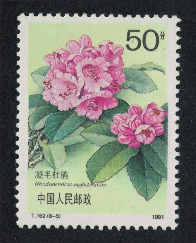 China &#39;Rhododendron agglutinatum&#39; 50f 1991 MNH SG#3739 MI#2368 Sc#2334