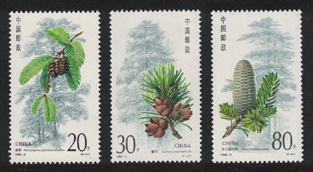 China Conifers 3v 1992 MNH SG#3787=3790 MI#2416-2419 Sc#2382-2385