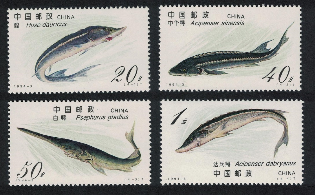 China Sturgeons Fish 4v 1994 MNH SG#3892-3895 MI#2521-2524 Sc#2487-2490