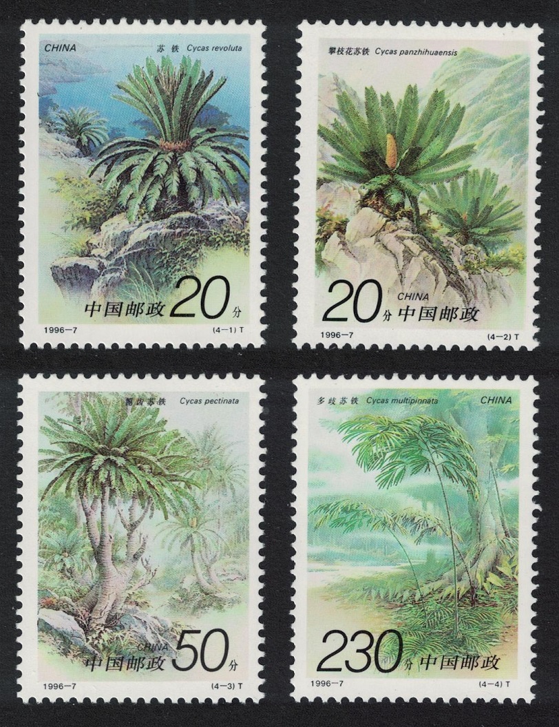 China Cycads 4v 1996 MNH SG#4096-4099