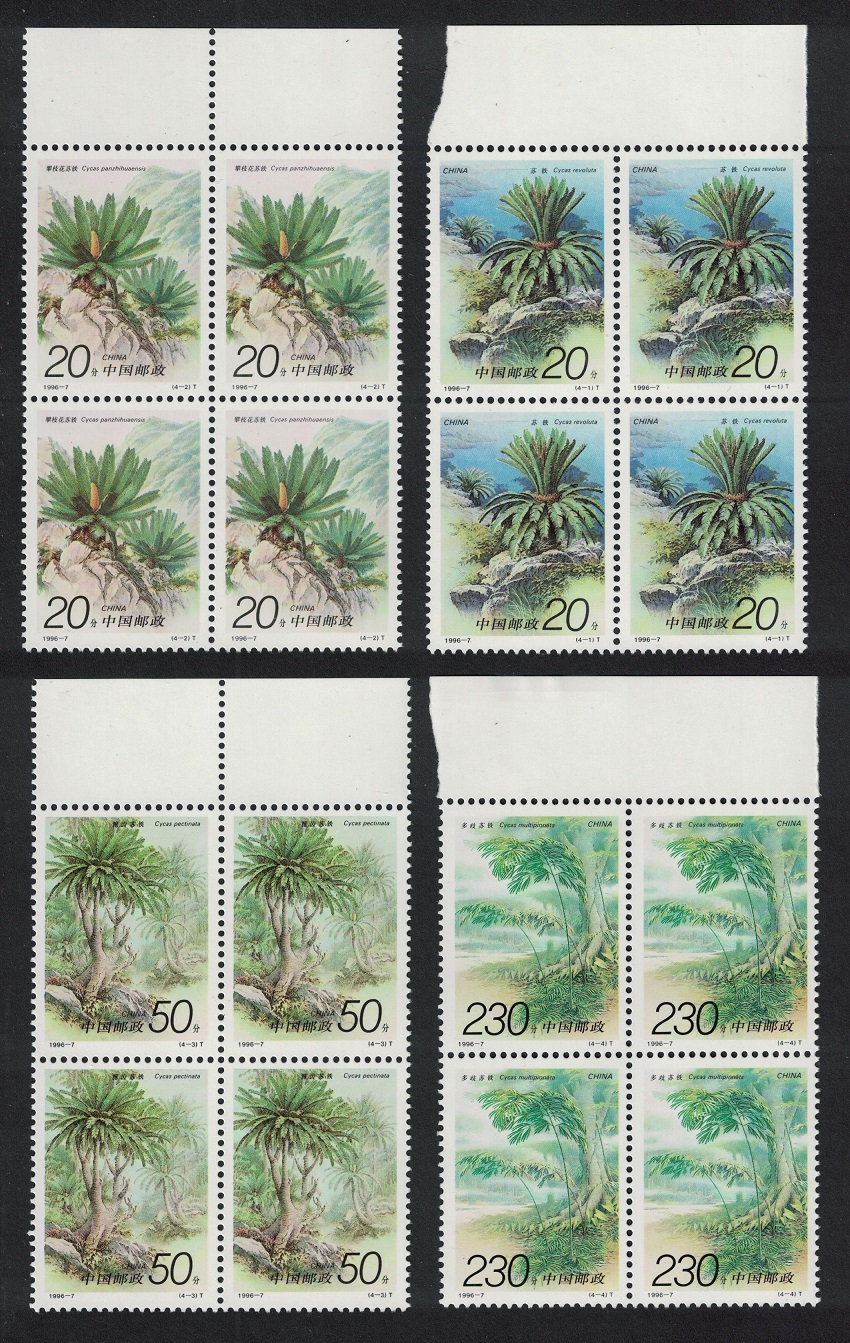 China Cycads 4v Blocks of 4 1996 MNH SG#4096-4099