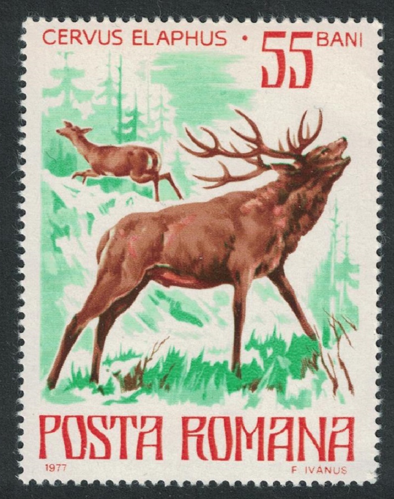 Romania Red Deer 1977 MNH SG#4284