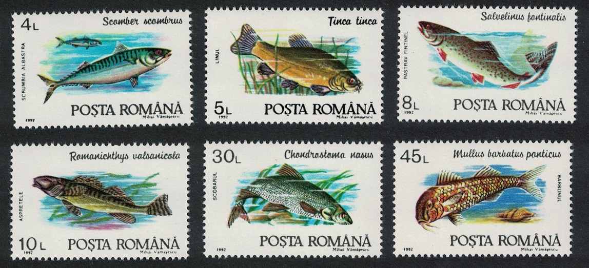 Romania Fishes 6v 1992 MNH SG#5424-5429