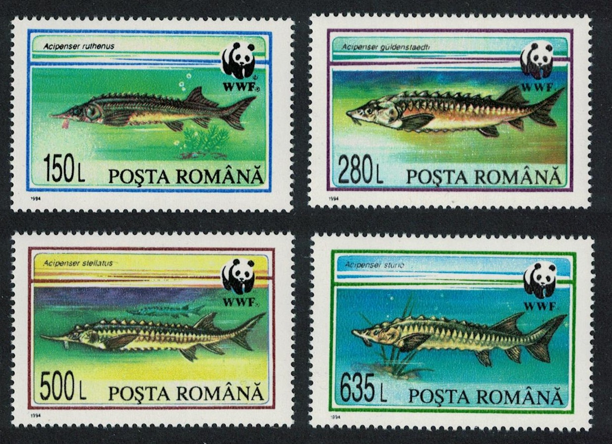 Romania WWF Sturgeons 4v 1994 MNH SG#5660-5663 MI#5034-5037 Sc#3954-3957