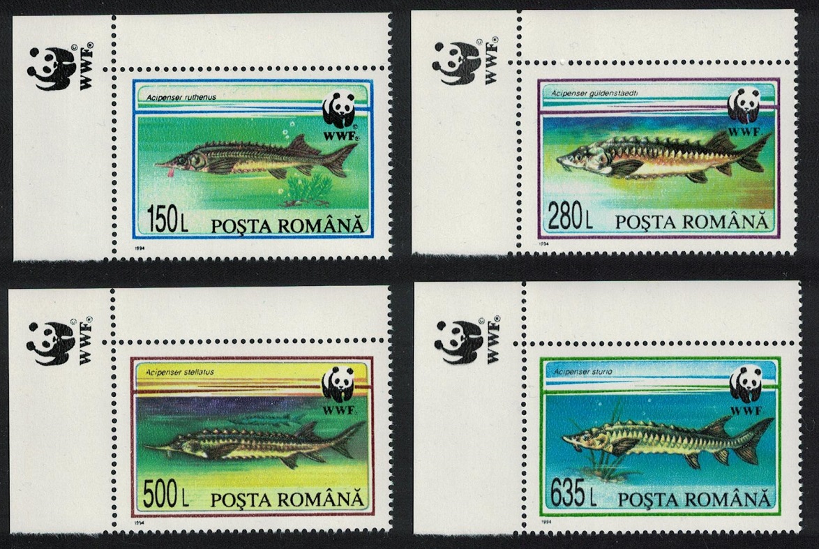 Romania WWF Sturgeons 4v Corners WWF emblem 1994 MNH SG#5660-5663 MI#5034-5037 Sc#3954-3957