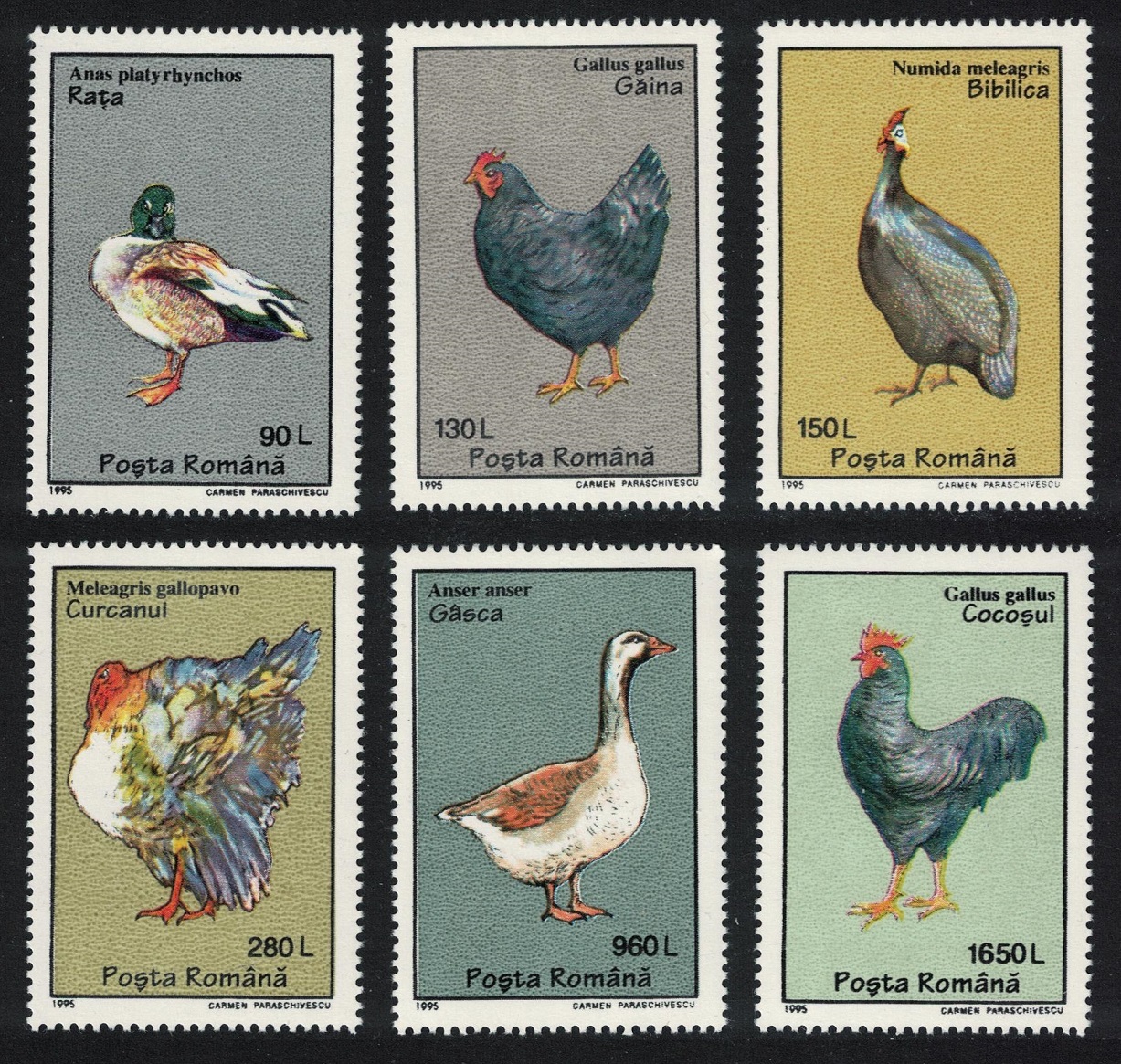 Romania Mallard Turkey Goose Domestic Birds 6v 1995 MNH SG#5753-5758