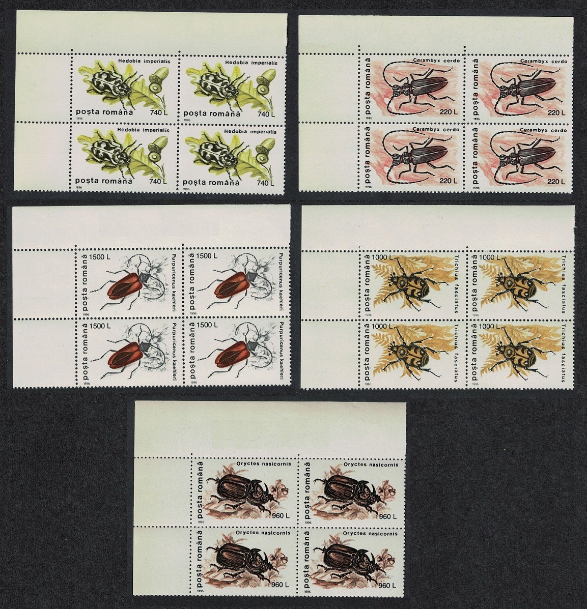 Romania Beetles 5v 1st series Corner Blocks of 4 1996 MNH SG#5800=5807 MI#5165-5169