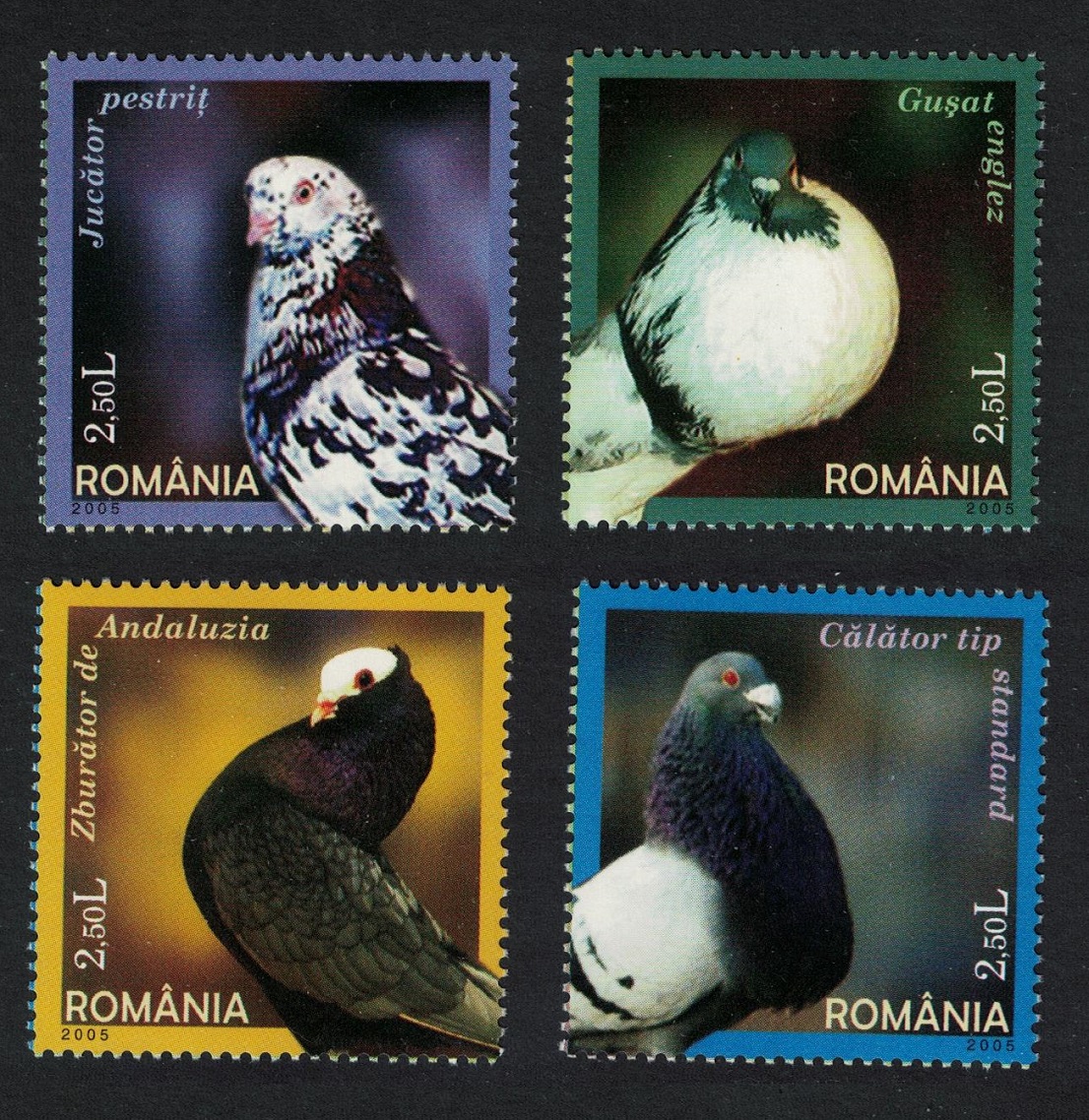 Romania Domestic Pigeons 4v 2005 MNH SG#6586-6589