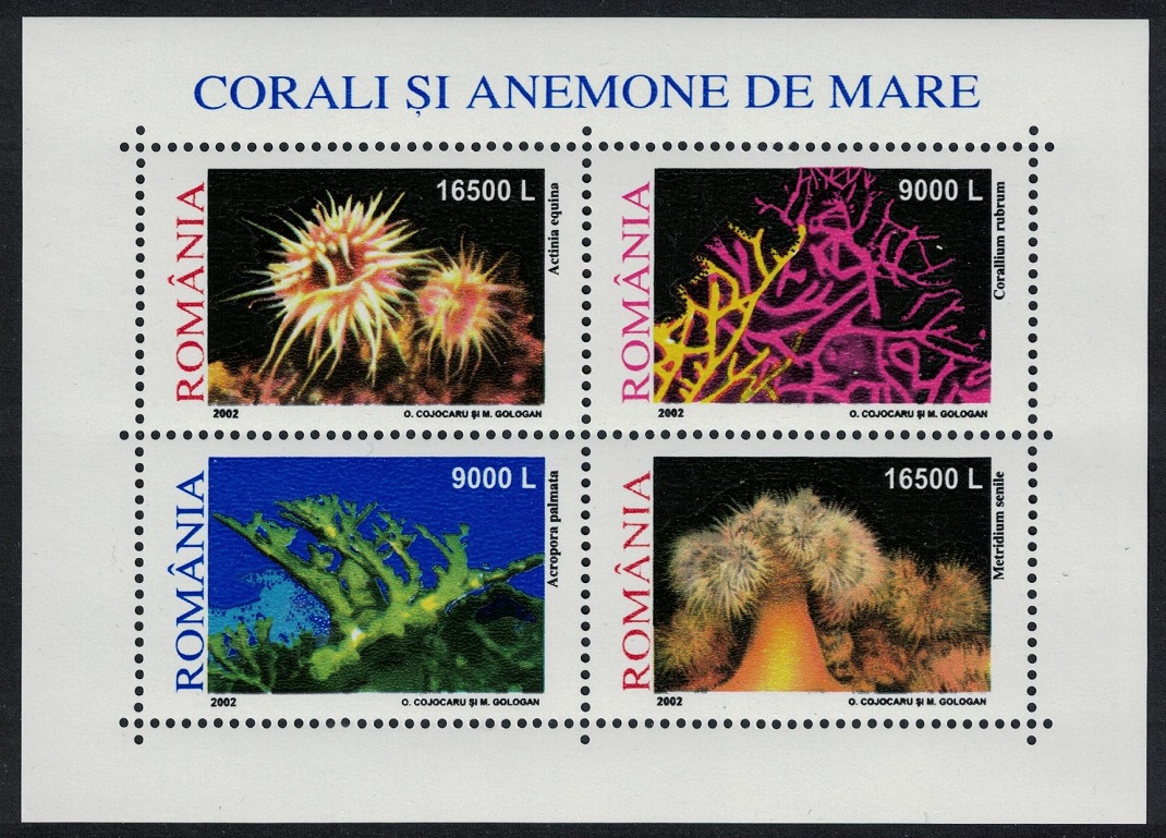 Romania Corals Sea Anemones MS 2002 MNH SG#MS6260