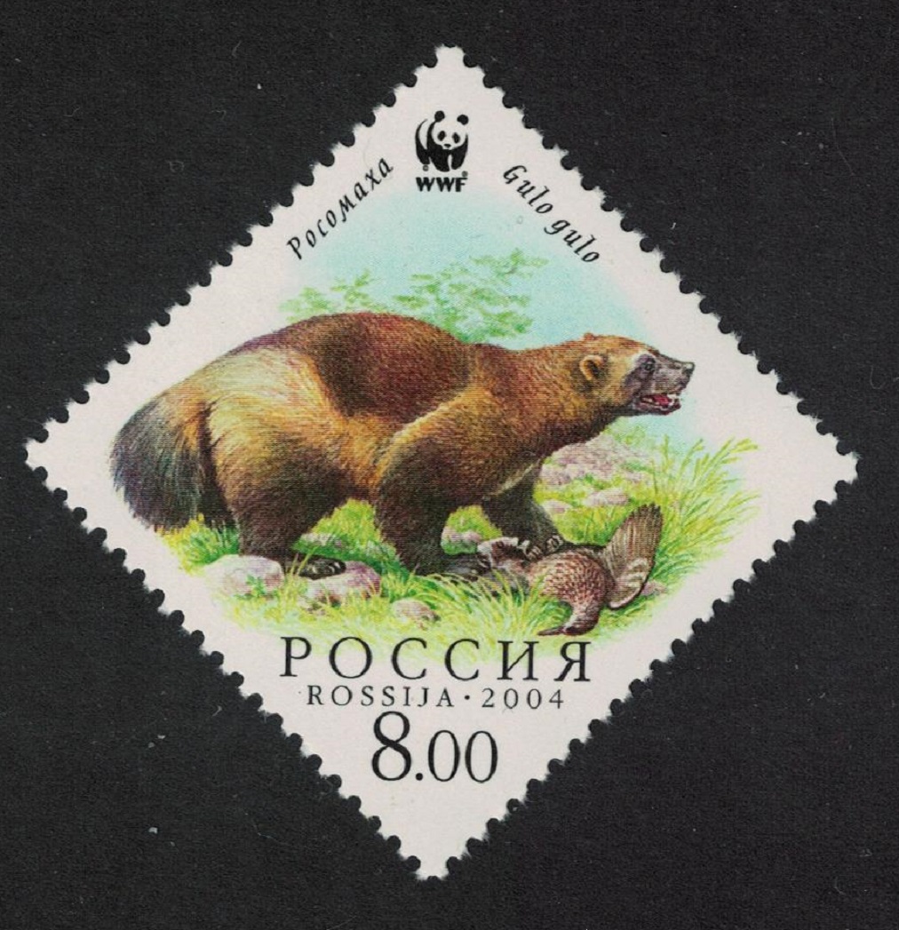 Russian Federation WWF Wolverine With prey Animals Fauna 2004 MNH SG#7289 MI#1199 Sc#6857b